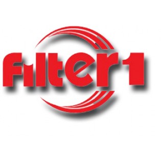 Сатья Filter1