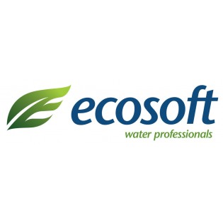 Сатья Ecosoft