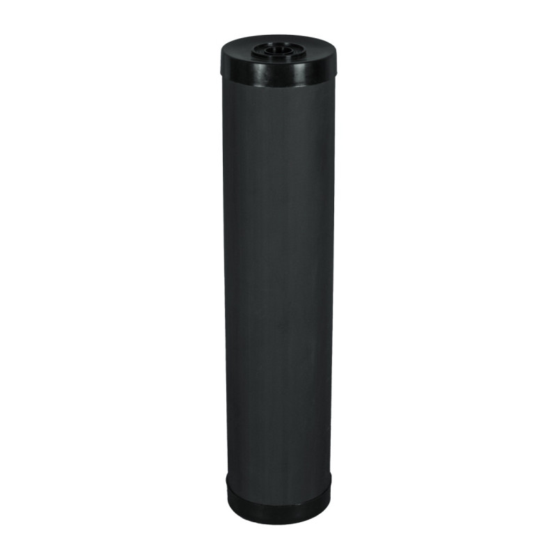 Картридж Filtrons FLGACPLUS20ВВ20 для видалення сірководню