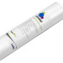 Картридж механічний Leader PP1 10''